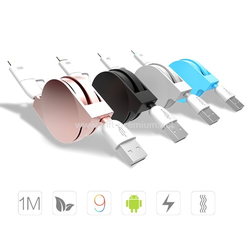 2 in 1 Charging Cable