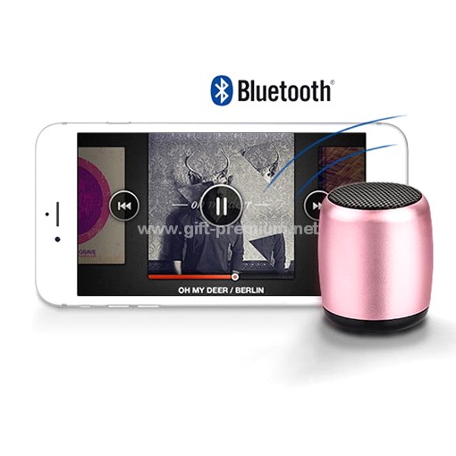 Bluetooth Speaker