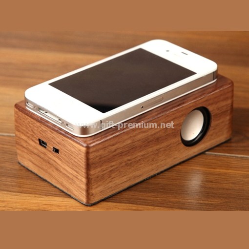 Induction Speaker