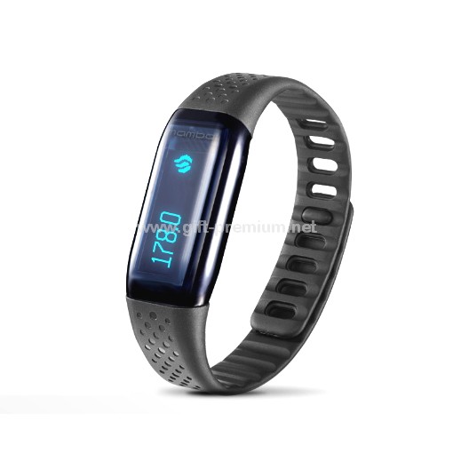 Smart Pedometer Watch