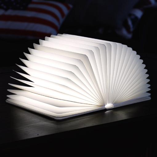 Wooden Book Lamp